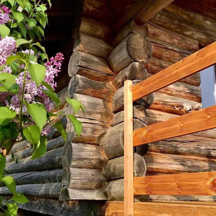 Aux Demeures Des Fees Villa Thouron Exterior photo